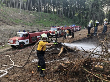 12.6.2019 požár lesa (2)
