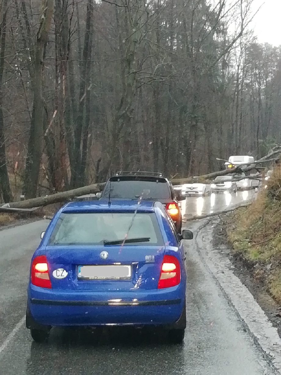 strom 17.2.2022-foto od Dopravní Info Olomouc Kraj +100km (Nehody, policejní hlídky)